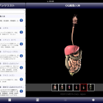【データにもよるが、この人体図は向きを変えることができ、変えた向きのそれぞれについて、筋肉から内臓に至る内部構造を選択的に表示できる】