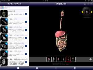 【データにもよるが、この人体図は向きを変えることができ、変えた向きのそれぞれについて、筋肉から内臓に至る内部構造を選択的に表示できる】