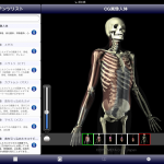 【また、骨格の上に、透明度を変えながら内臓を重ねて表示することも可能だ】