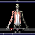 【画面表示は、左のコラムの説明を非表示にしてサムネールのみとするモードや、3Dデータ表示だけが表示されるモードなどに切り替えが可能だ】