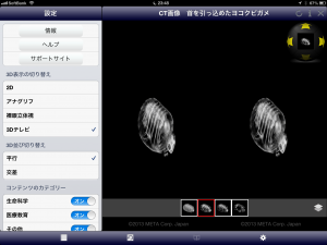 【３D表示については、赤青メガネをかけて鑑賞（観察）できるアナグリフ、裸眼で立体視できる人のための横並び、さらに3Dテレビ番組と同じ横方向を半分に縮めて】